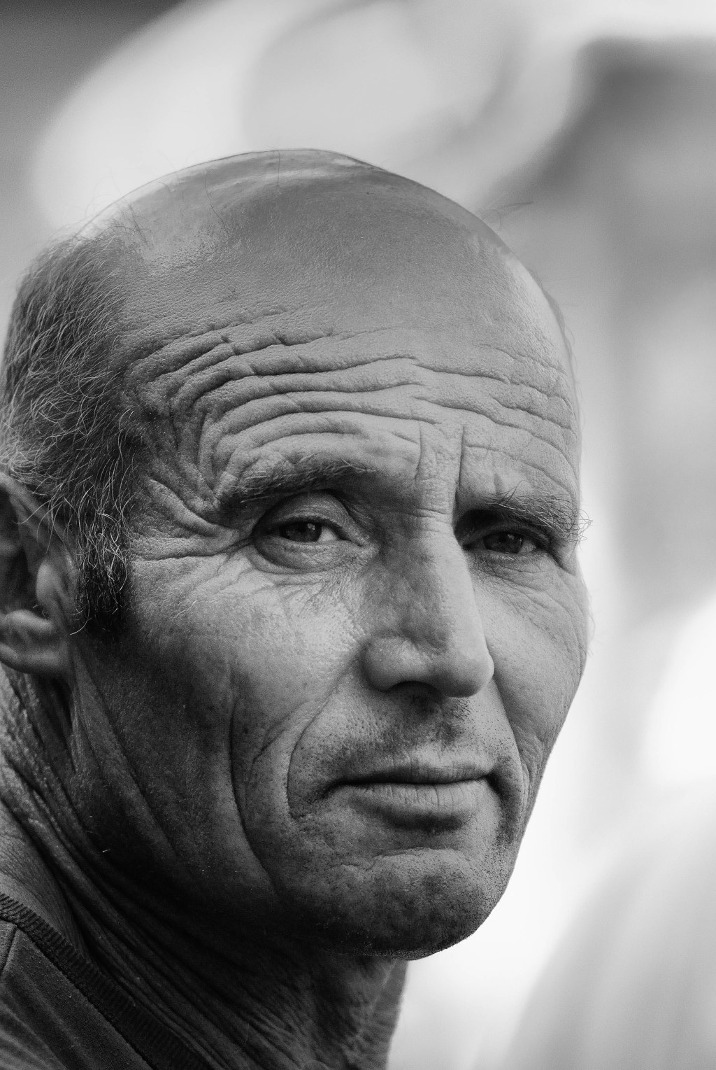 Print, Screen, Post…