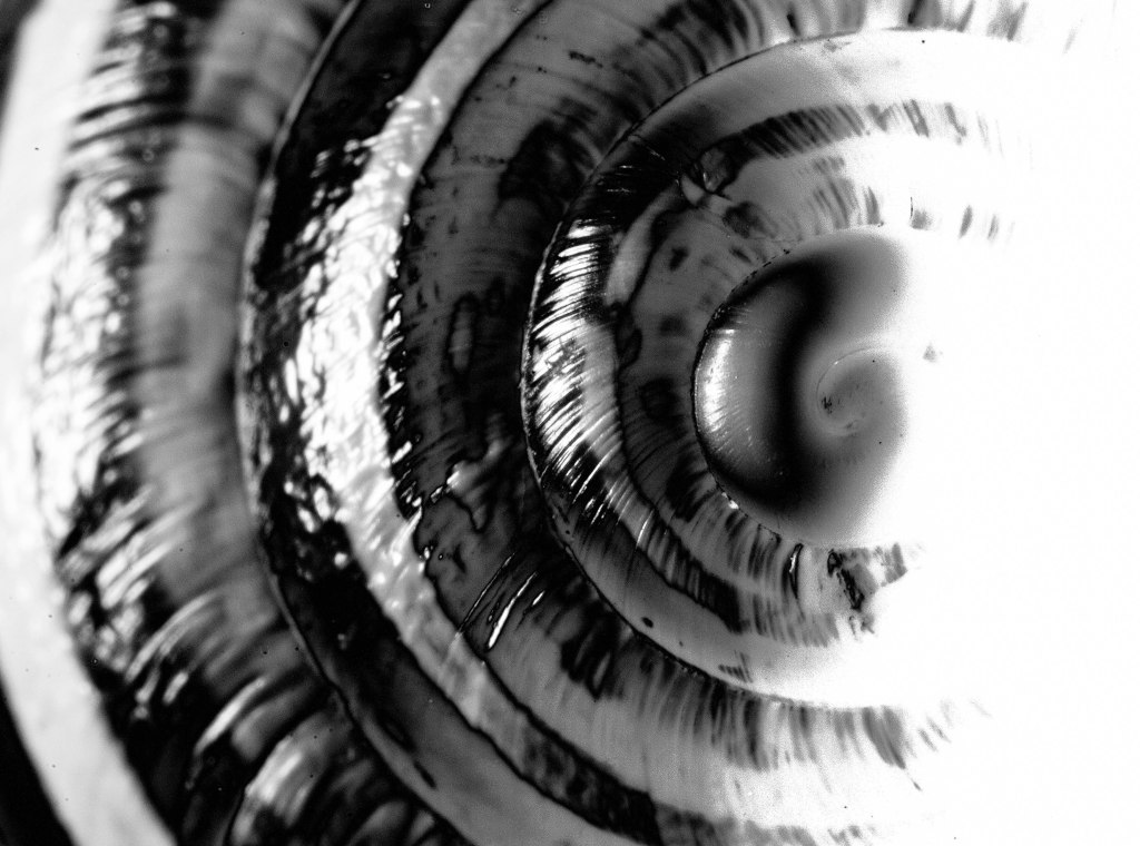 New Tech, New&nbsp;Day